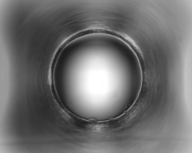X0000096450791200801241417