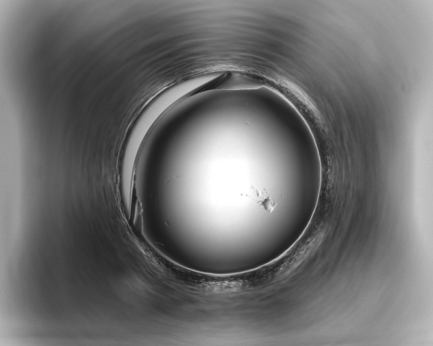 X0000096450793200801241417