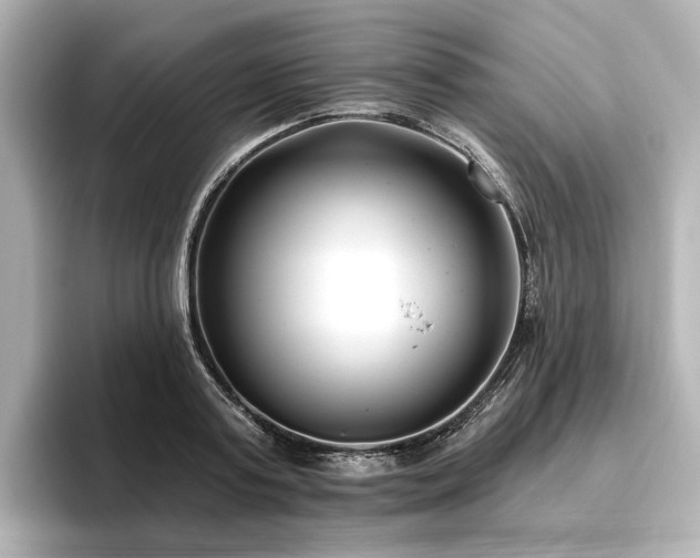 X0000096450795200801241417