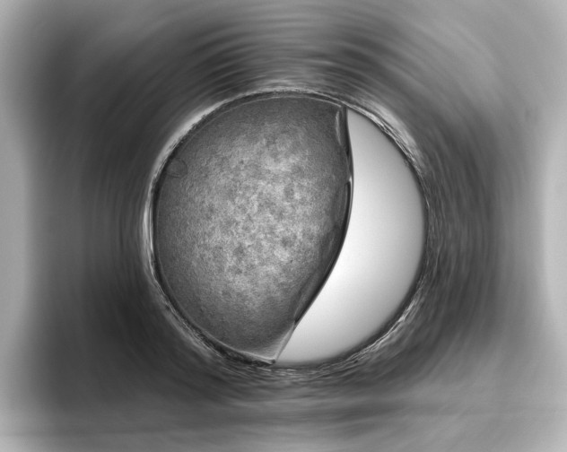 X0000096450796200801241417