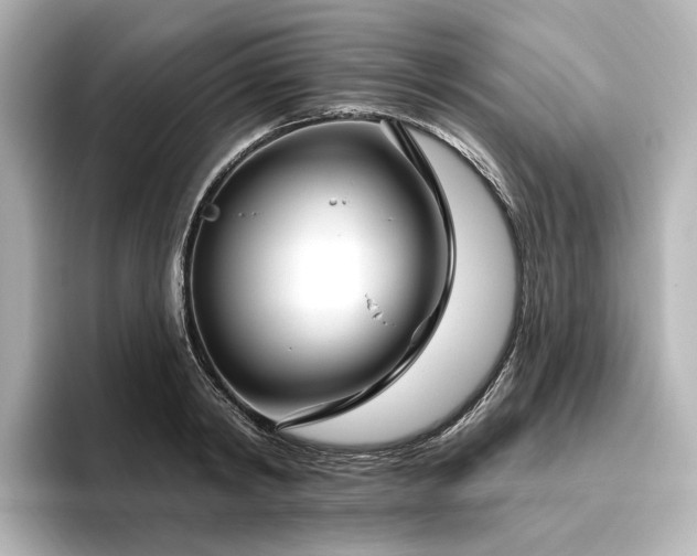 X0000096450798200801241417