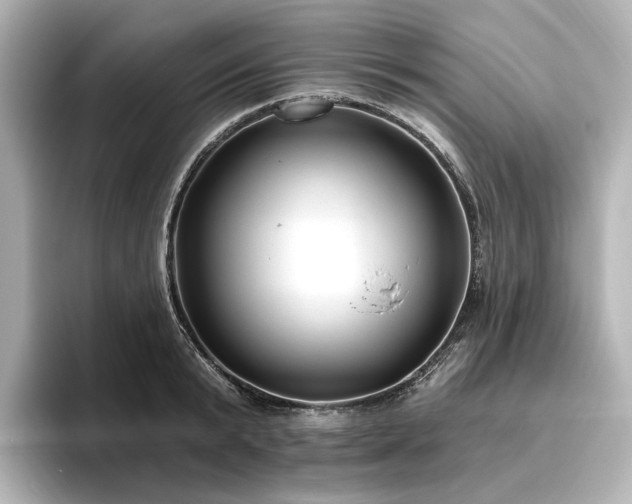 X0000096450799200801241417