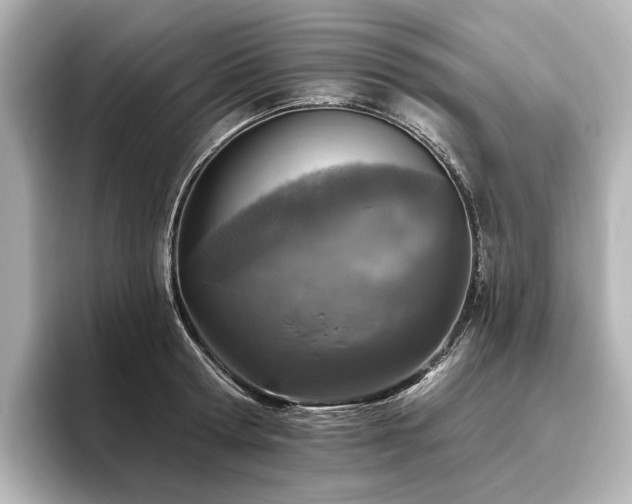 X0000096450802200801241417