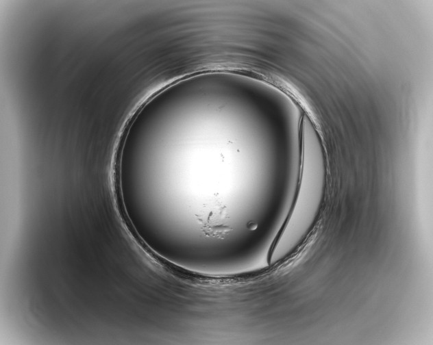 X0000096450803200801241417