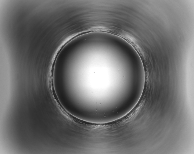 X0000096450808200801241417