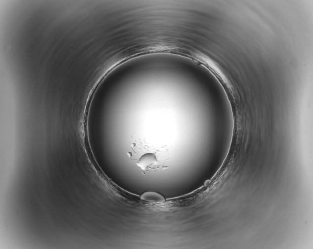 X0000096450810200801241417