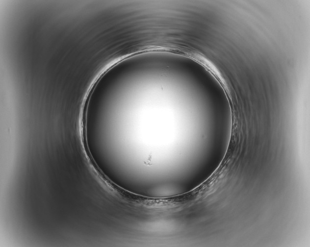 X0000096450811200801241417