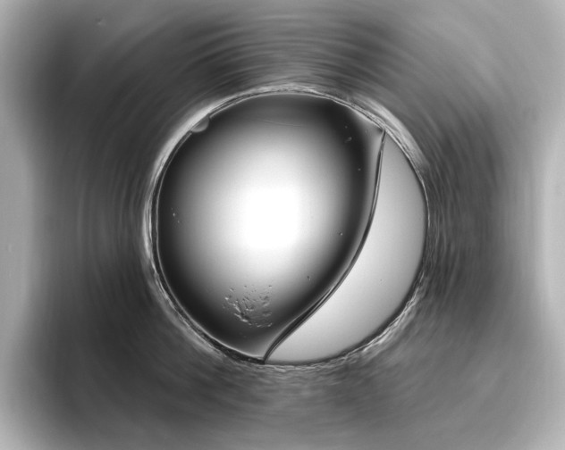 X0000096450812200801241417