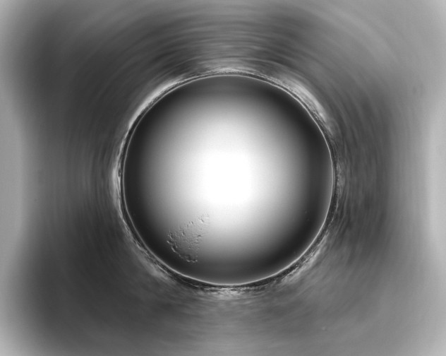 X0000096450814200801241417