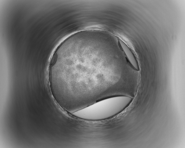 X0000096450816200801241417