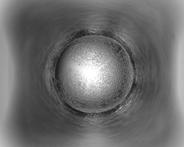 X0000096450817200801241417