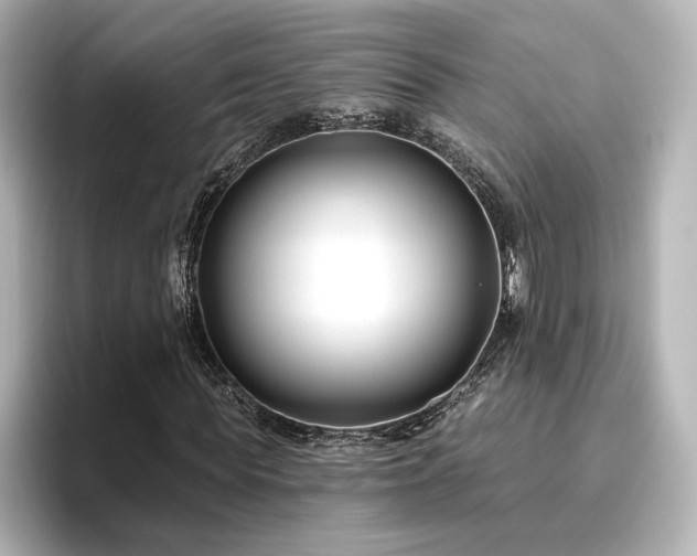 X0000096450819200801241417