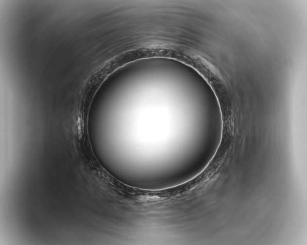 X0000096450821200801241417
