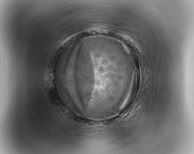 X0000096450822200801241417