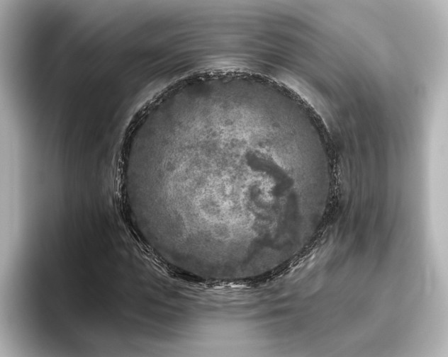 X0000096450823200801241417