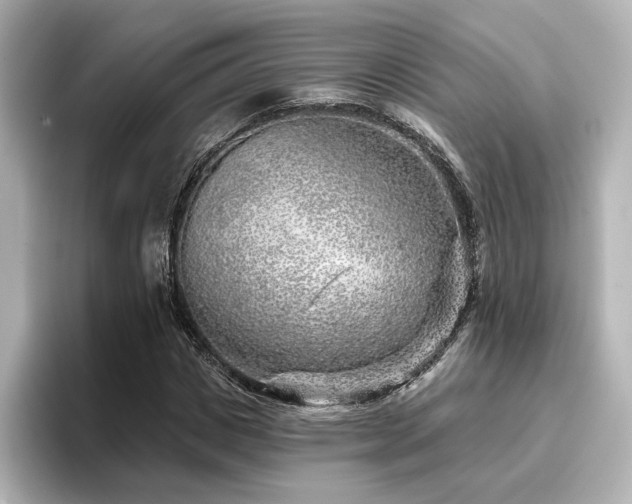 X0000096450825200801241417