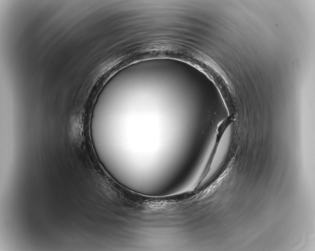 X0000096450826200801241417