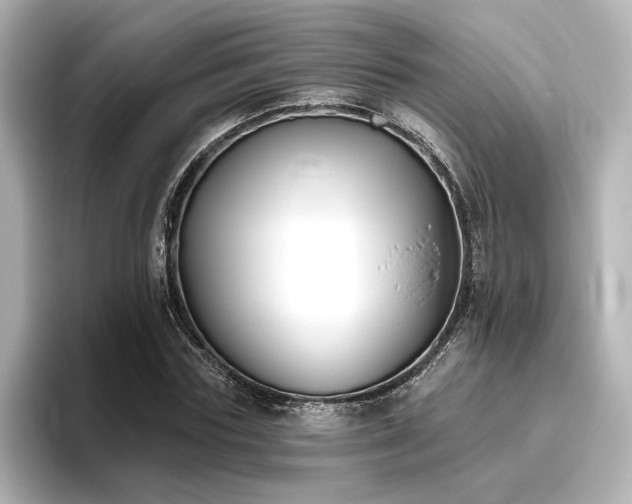 X0000096450827200801241417
