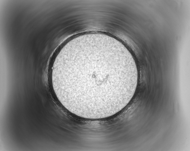 X0000096450828200801241417