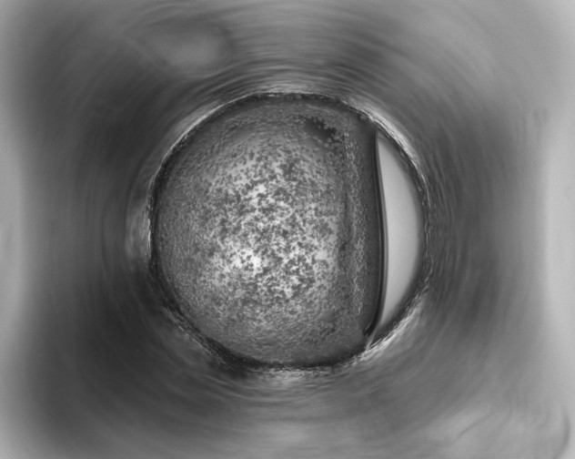 X0000096450829200801241417