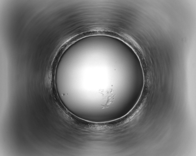 X0000096450831200801241417