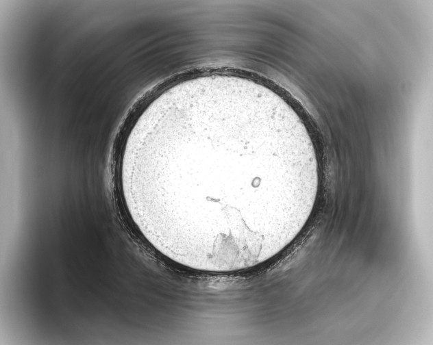 X0000096450832200801241417