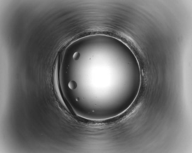X0000096450833200801241417
