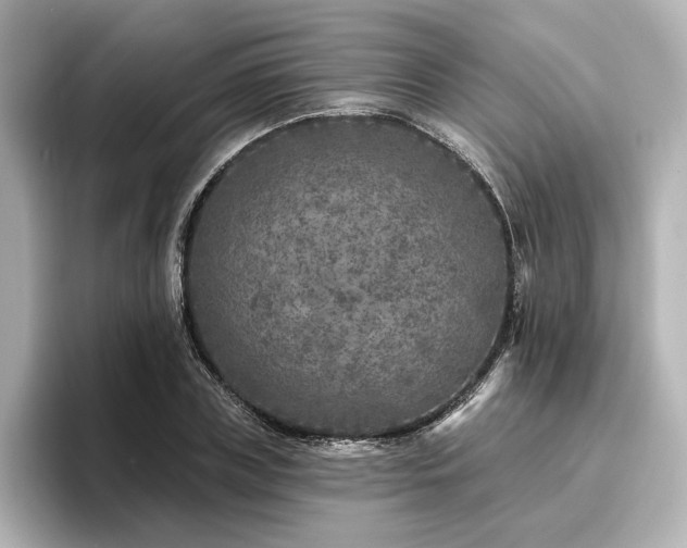 X0000096450835200801241417