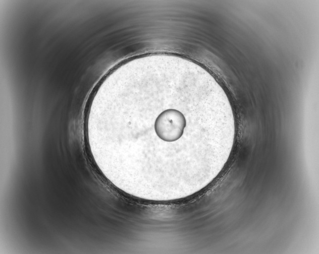 X0000096450836200801241417