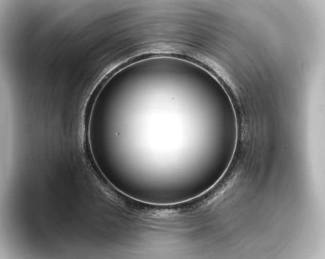 X0000096450837200801241417