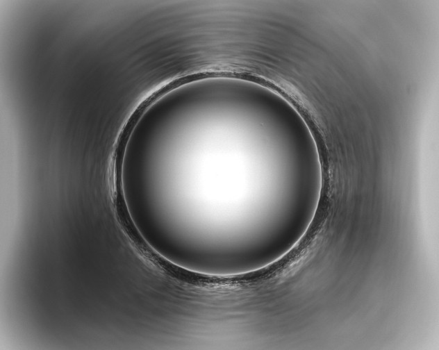 X0000096450838200801241417