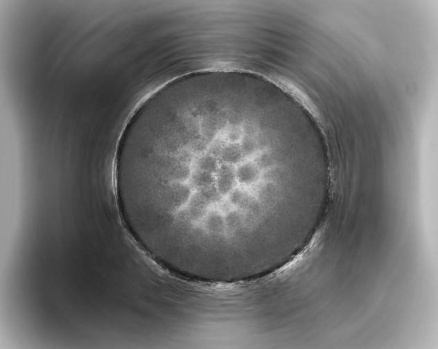 X0000096450839200801241417