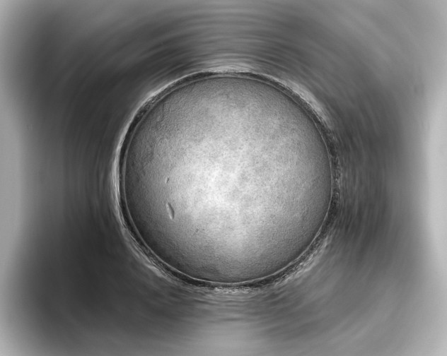 X0000096450840200801241417