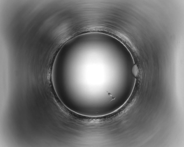 X0000096450841200801241417
