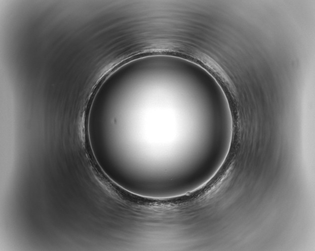 X0000096450842200801241417