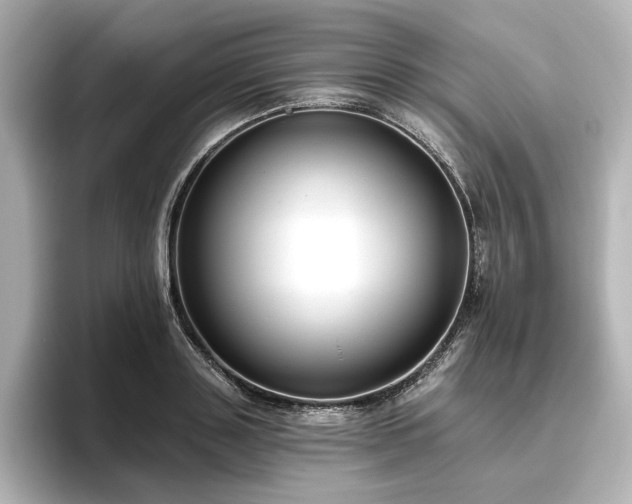 X0000096450843200801241417