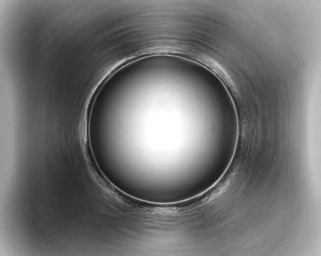 X0000096450844200801241417
