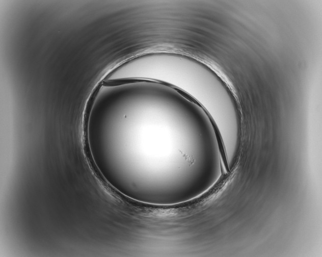 X0000096450845200801241417