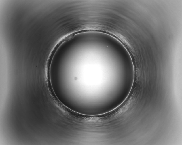 X0000096450846200801241417