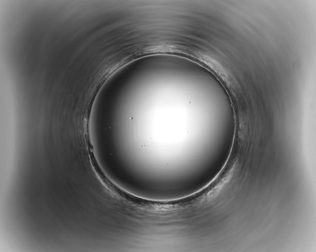 X0000096450849200801241417