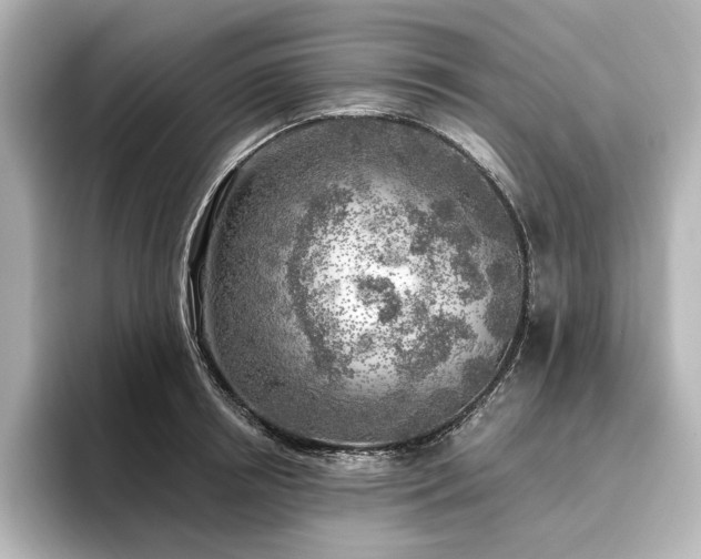 X0000096450850200801241417