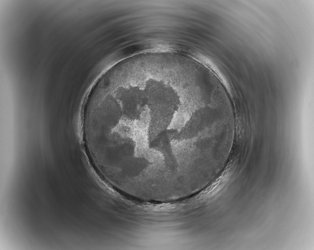 X0000096450851200801241417