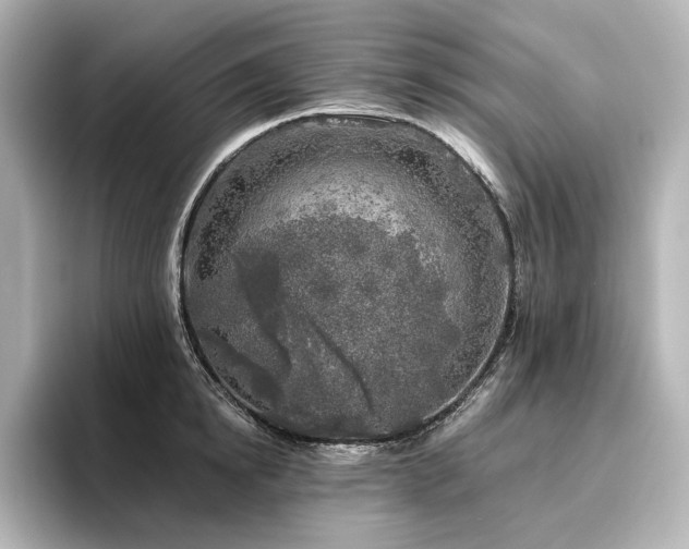 X0000096450854200801241417