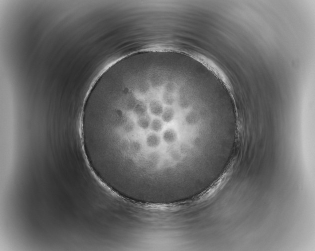 X0000096450855200801241417