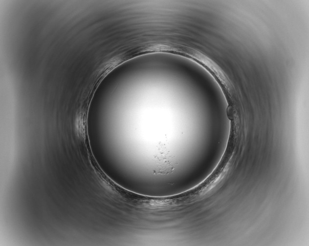 X0000096450857200801241417