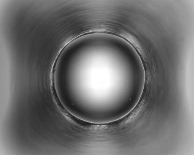 X0000096450858200801241417