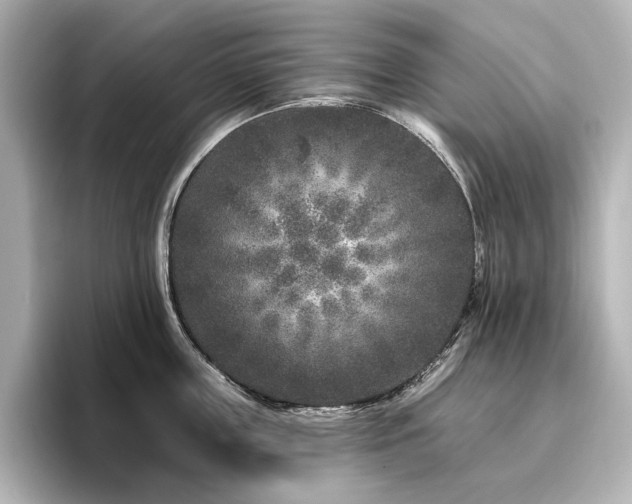 X0000096450859200801241417
