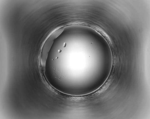 X0000096450860200801241417