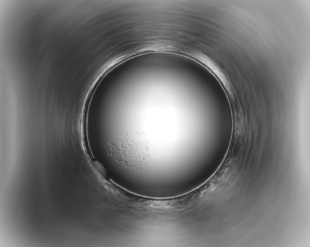 X0000096450861200801241417