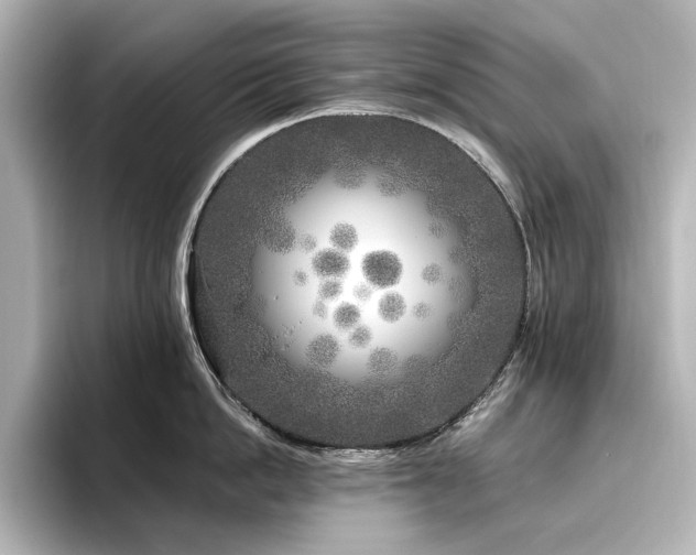 X0000096450862200801241417